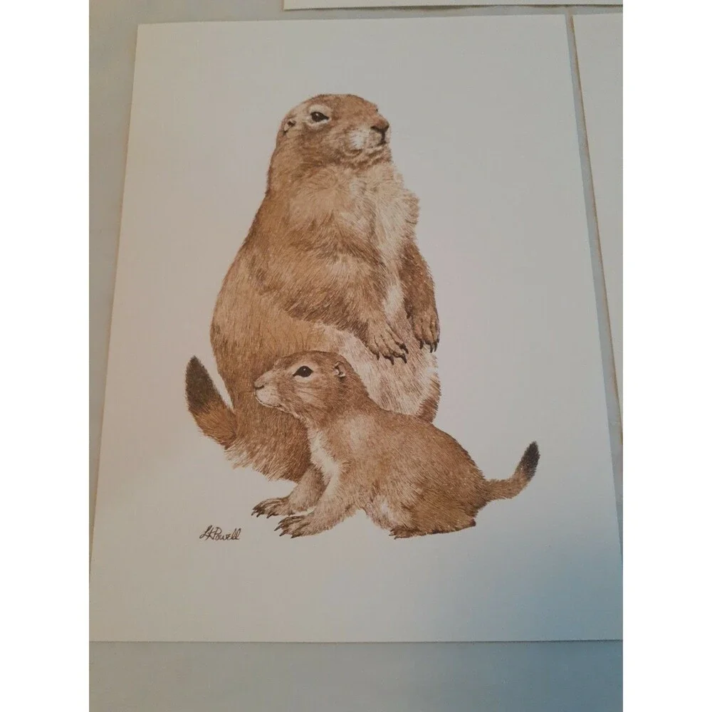 Lot Of 3 Nature Animal Picture Cards Crafts Art 5.75 x 7.75 Blank Back
